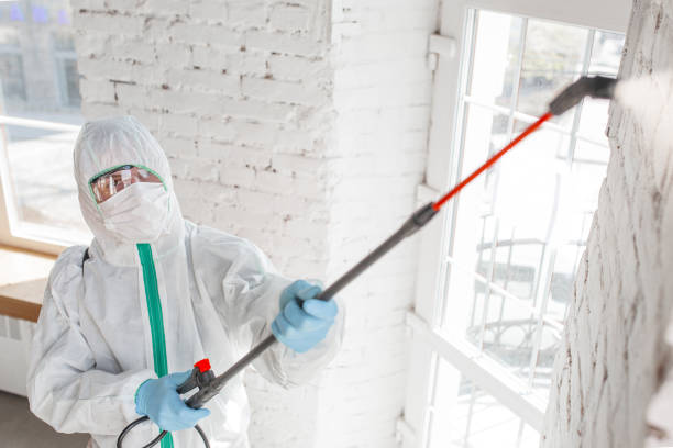 Best Residential Mold Inspection & Testing  in Dano, CO