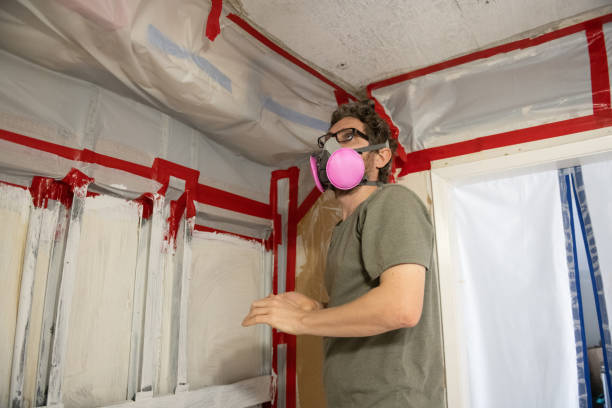 Best Mold Prevention Services  in Dano, CO
