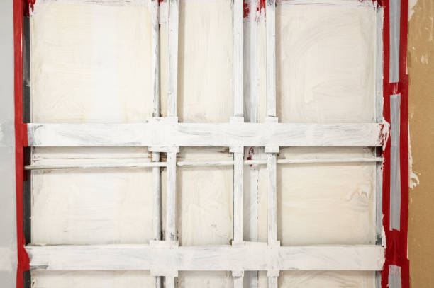 Best Post-Construction Mold Inspection  in Dano, CO