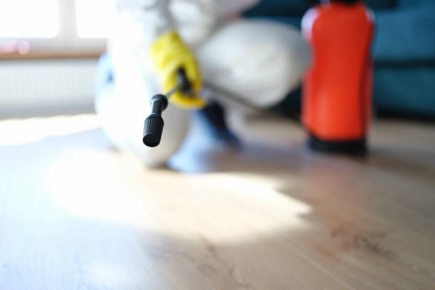 Dacono, CO Mold Removal Company