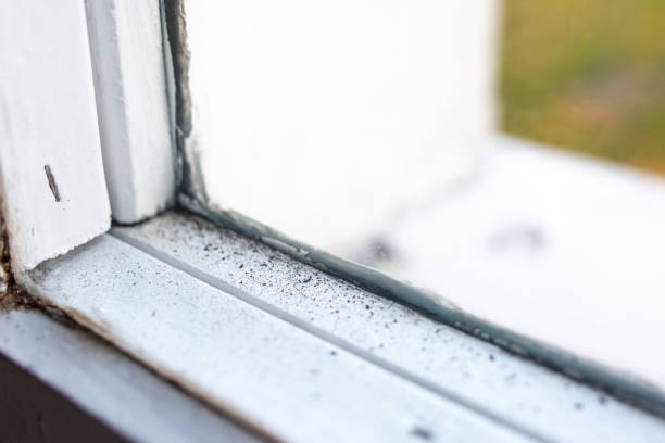 Mold Remediation for Rental Properties in Dacono, CO