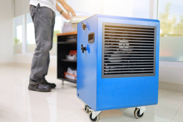 Best Mold Remediation for Healthcare Facilities  in Dano, CO